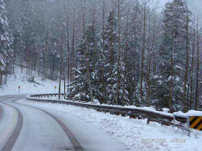 Image of 10280013.jpg