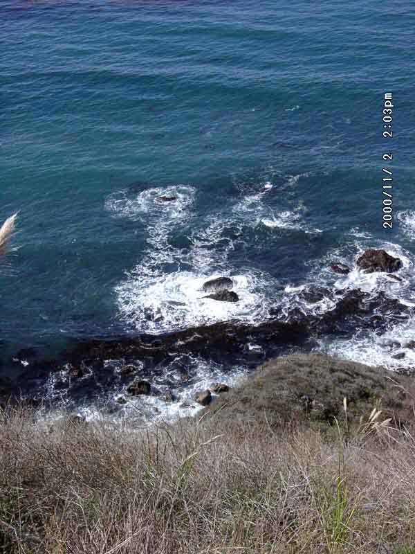 Image of 11020028.jpg