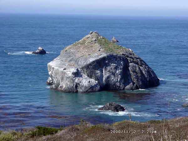 Image of 11020042.jpg