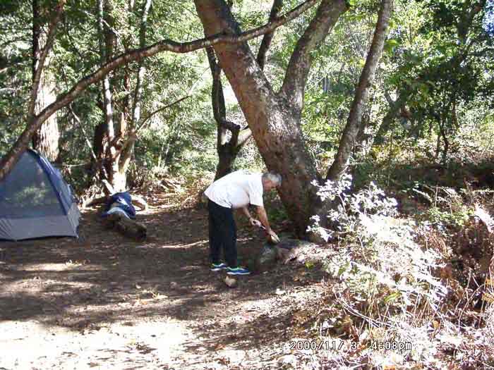 Image of 11030001.jpg