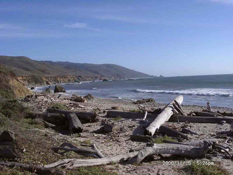 Image of 11050004.jpg