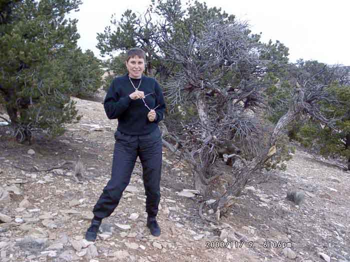 Image of 11090038.jpg